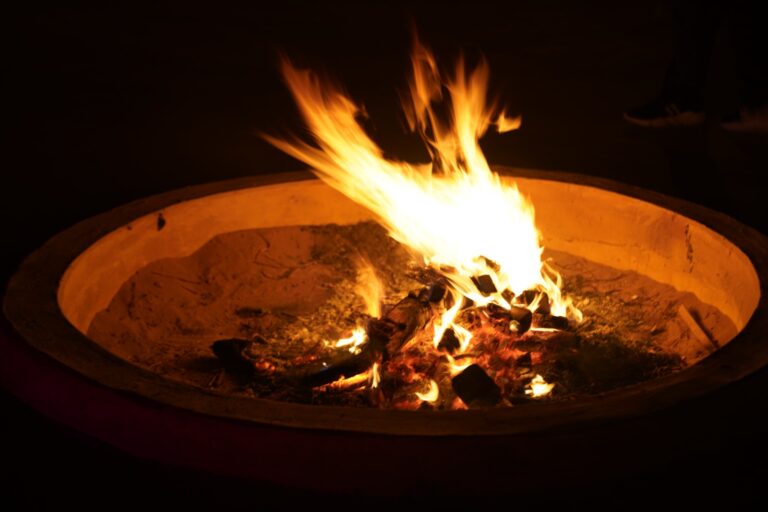 Why a Bonfire Dinner in the Thar is Unmissable